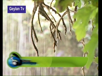 Geylan TV